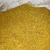 بذر یونجه