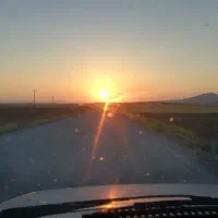 زمین-دیم-مرغوب-کشاورزی