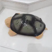چراغ خواب موزیکال