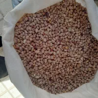 لوبیا بوجاری