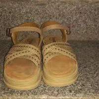 ۵ جفت کفش مفت