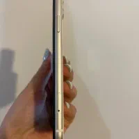 Iphone 11|موبایل|تهران, درختی|دیوار