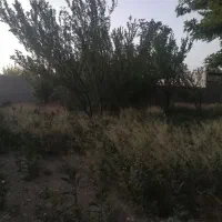 فروش باغچه در صالح آباد ملارد