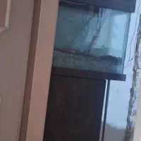 اکواریوم