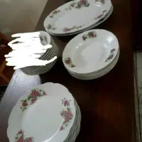 ظروف غذاخوری گلسرخی