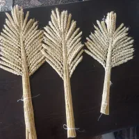 دسته گندم