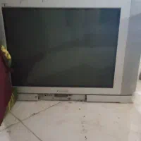 تلویزیون