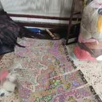 قالی زرنیم