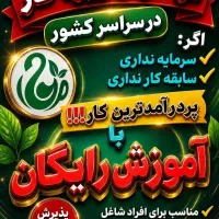 انجام کار برای بانوان در خانه (طب سنتی)