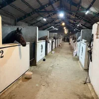 باشگاه سوارکاری