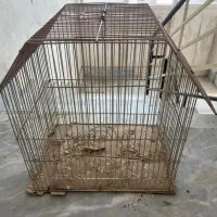 قفس