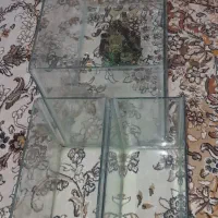 اکواریوم بزرگ و کوچک