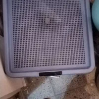 سینی ادرار سگ یا گربه