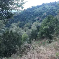 فروش زمین مسکونی  با کاربری کامل برای ساخت و ساز
