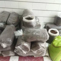 فروش کشمش آفتابی آبگیری درهمه ارقام