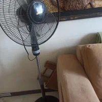 پنکه ایستاده