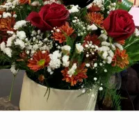 این گل قشنگ وطبیعی برای فروش