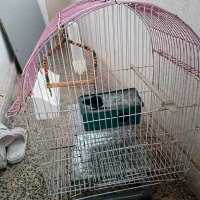 قفس پرنده