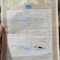 زمین-شهید-ناصری-آینده-دار