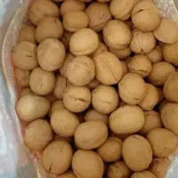گردو|خوردنی و آشامیدنی|اهواز, گلستان|دیوار