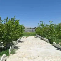 فروش-باغ-جاده-دهبید