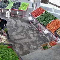 نیازمند چند نفر نیروی تره بار