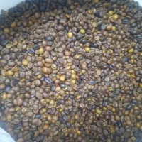 فروش اسپرسو عمده و تک و انواع پودریجات