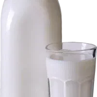 فروش شیر گاو تازه