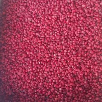 زرشک پفکی ، زرشک  بیرجند آماده کارتن و تحویل