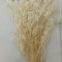 لوازم رزین. اکلیل