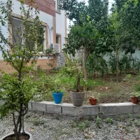همخانه/توافقی