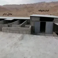 فروش مجموعه کامل دامداری با 3واحد مسکونی