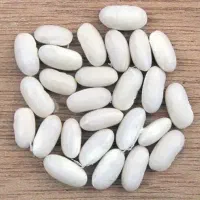 لوبیا سفید درختی