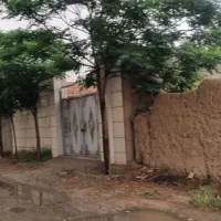 زمین مسکونی باغ و باغچه ورامین قرچک