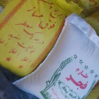 برنج چمپا و طارم