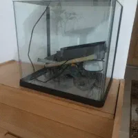 اکواریوم