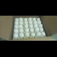 تخم مرغ عمده کارتن سنگین وزن زرده نارنجی 2150