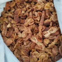 برگه زردآلو آفتابی لواشک لوشی خشک برگ دلمه