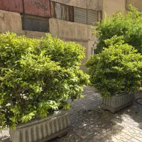 80متر2خ/تکواحدفول/