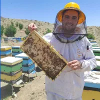 عسل های خالص ،ژل رویال، گرده گل، بره موم و معجون