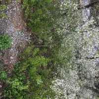 ۲۸۵مترباغ فشم آهار فنس کشی شده ویوابدی فروش تهاتر