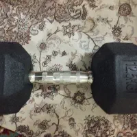دمبل باشگاه