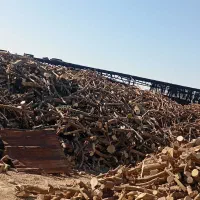 خریدار انواع چوب