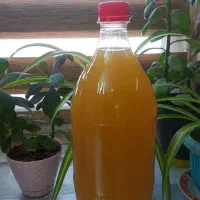 سرکه سیب و انگور خانگی