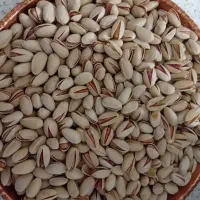 اکبری دستچین