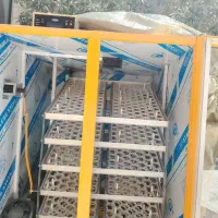 جوجه کشی هزار تایی