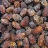 خرما بریم درجه ۱