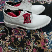 کفش چرم مردانه سایز 40 نونو