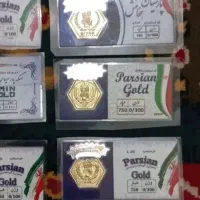سکه پارسیان ۱ گرم