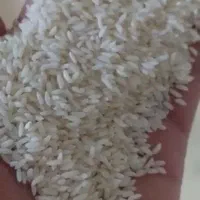 برنج هندی سونا ماسوری